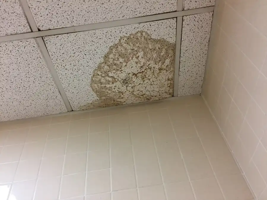 Suspended ceiling tile above a tiled bathroom wall with a large brown water stain, tide-line edges and a few dark spots from a leaking pipe above