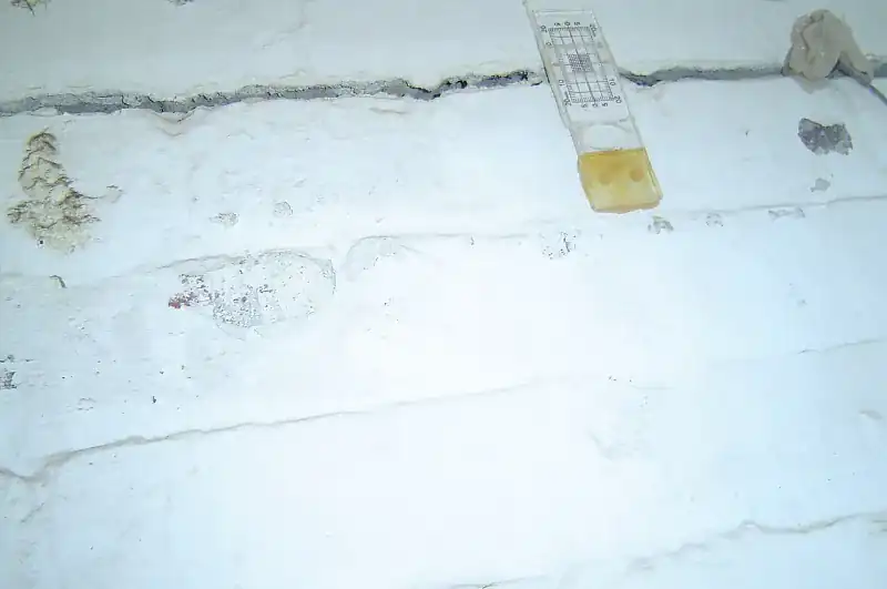 Clear plastic crack monitoring gauge with a grid and scale fixed across a crack in a painted masonry wall