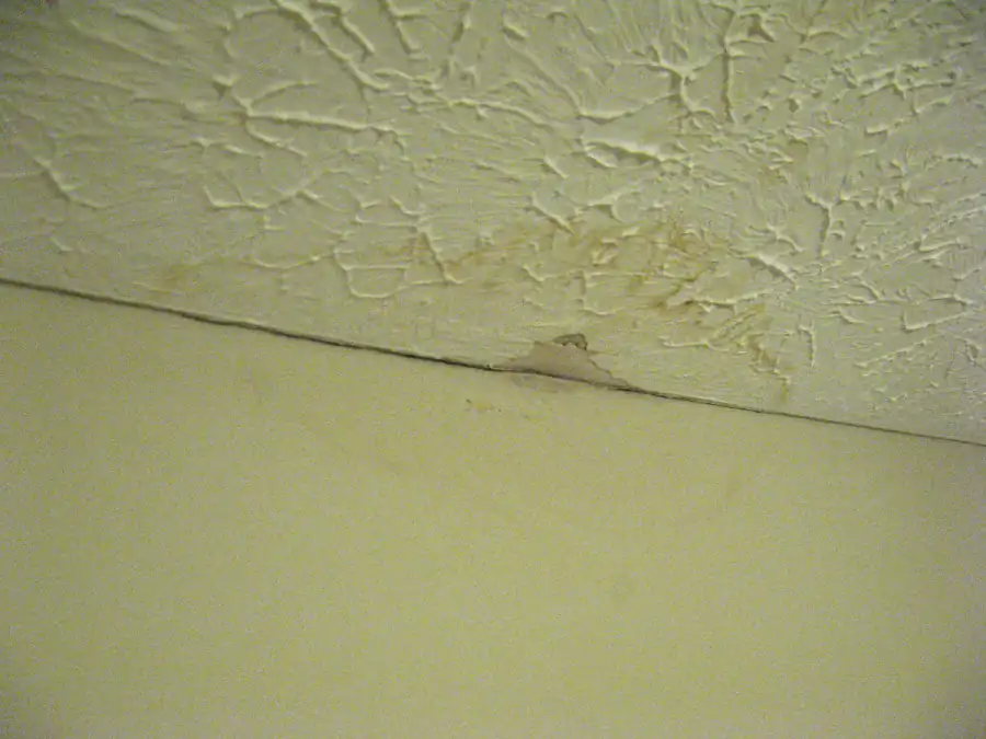 Yellow-brown water stain spreading across a textured ceiling near the wall, with peeling paint at the corner where rainwater leaked in from the roof
