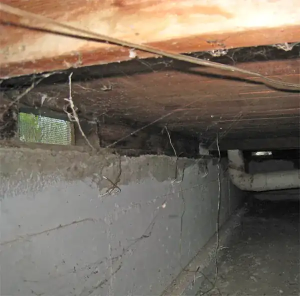 Inside a vented crawl space with an open screened foundation vent, dark floor framing overhead, cobwebs and a pipe running along the block wall