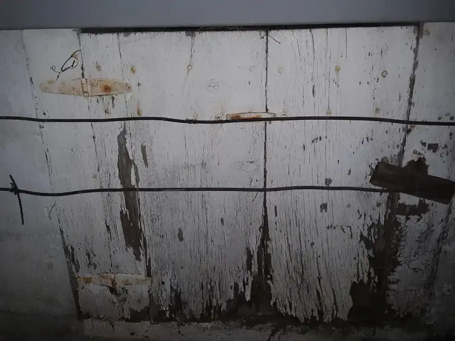 Weathered white-painted wooden crawl space access door with rust-stained hinges, a gap along the top and rotting boards along the bottom edge